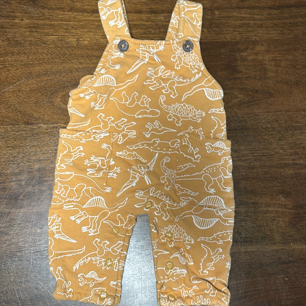 Little Boys Dinosaur Overalls  Little Lad